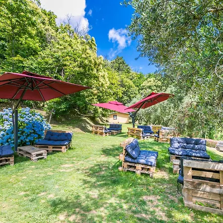 La Cupola- Papavero By Interhome * Pescia